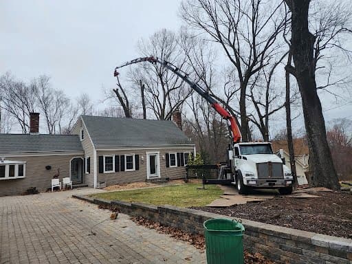 Completed landscaping