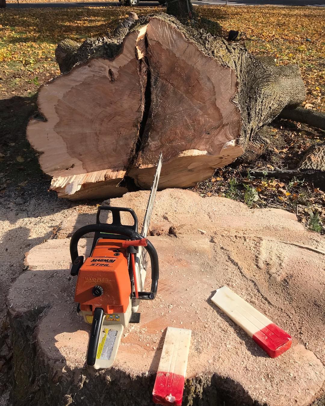 STUMP GRINDING